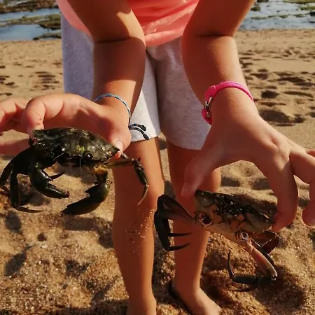 Mobilhome Oleron Simple Et Spacieux A 1min De L'ocean * La Cotinière