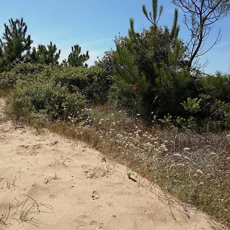 Mobilhome Oleron Simple Et Spacieux A 1min De L'ocean Campsite La Cotiniere