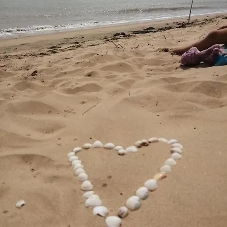 Mobilhome Oleron Simple Et Spacieux A 1min De L'ocean * La Cotinière