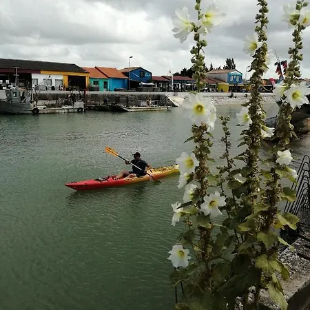 Mobilhome Oleron Simple Et Spacieux A 1min De L'ocean * La Cotinière