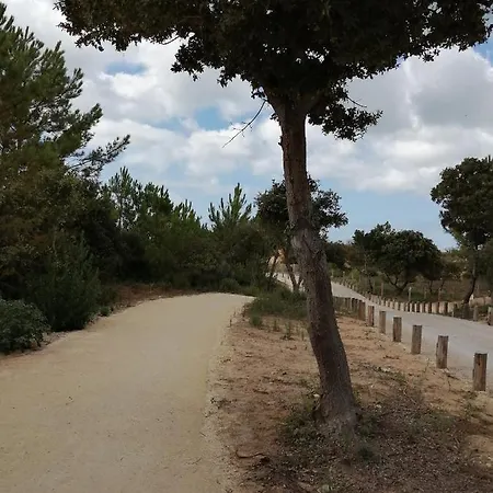 Mobilhome Oleron Simple Et Spacieux A 1min De L'ocean Campsite La Cotiniere