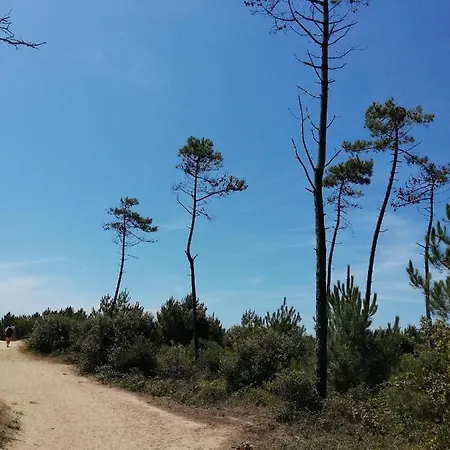 Mobilhome Oleron Simple Et Spacieux A 1min De L'ocean Parque de Campismo